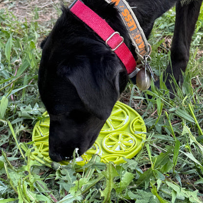 SodaPup Citrus Design eMat Enrichment Lick Mat Dogs Cats Suction Cups | USA Made