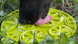 Citrus Design eMat Enrichment Lick Mat With Suction Cups