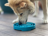 Baja Design eTray Shallow Slow Feeder Bowl for Dogs