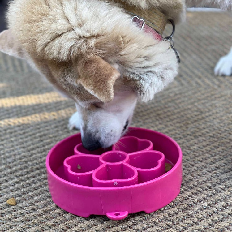 SodaPup Flower eBowl Deep Slow Feeder Dog Bowl Enrichment | USA Made