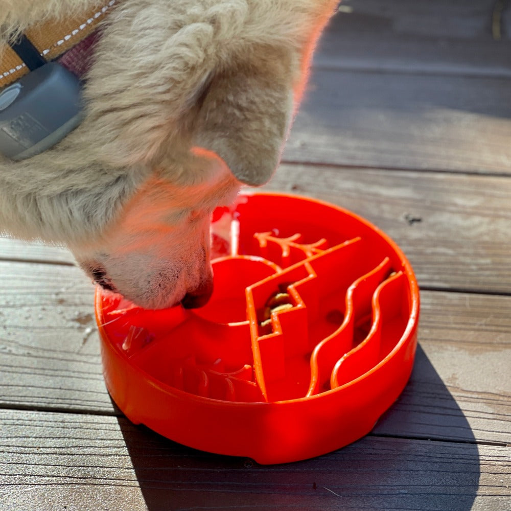 SodaPup Great Outdoors eBowl Slow Feeder Dog Bowl & Enrichment | USA Made