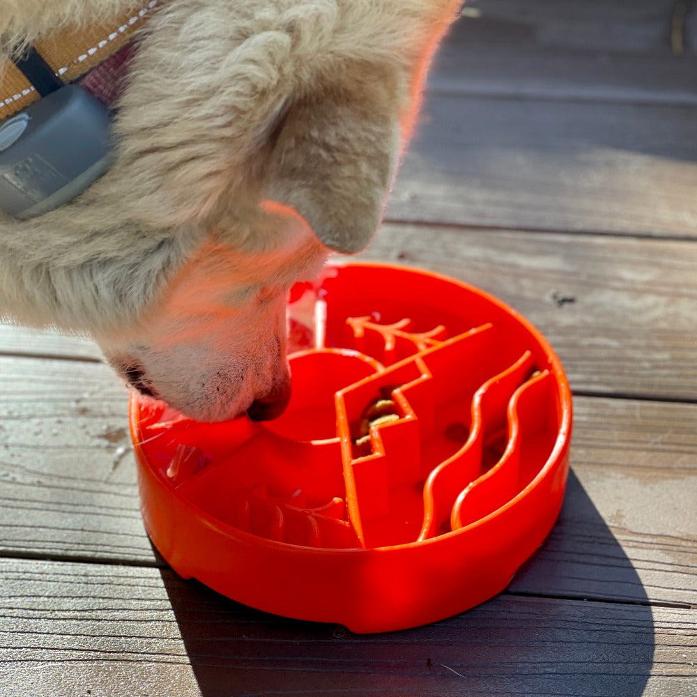 Dog Tumbler Puzzle Feeder Bowl Pet Slow Feeder Bowl Fun
