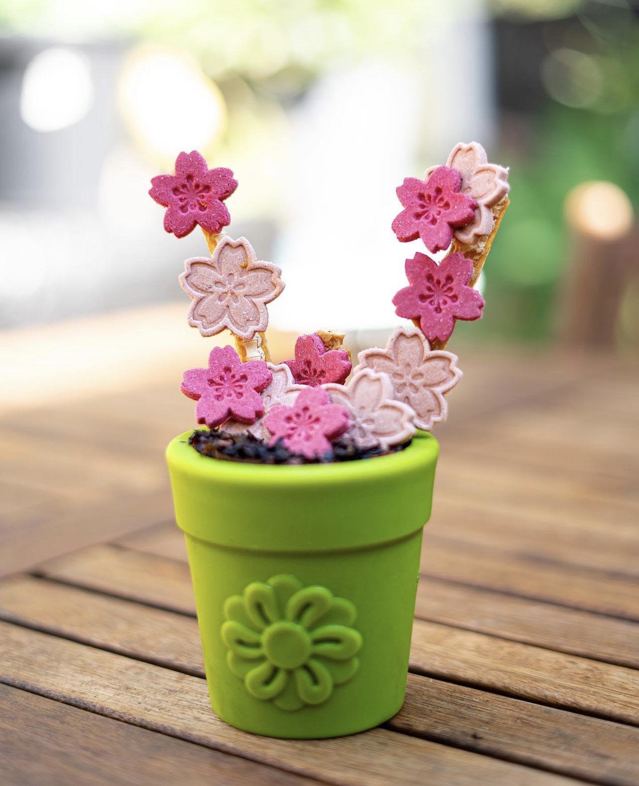 SodaPup Large Flower Pot eCup Dog Treat Dispenser | Durable USA-Made Enrichment Toy