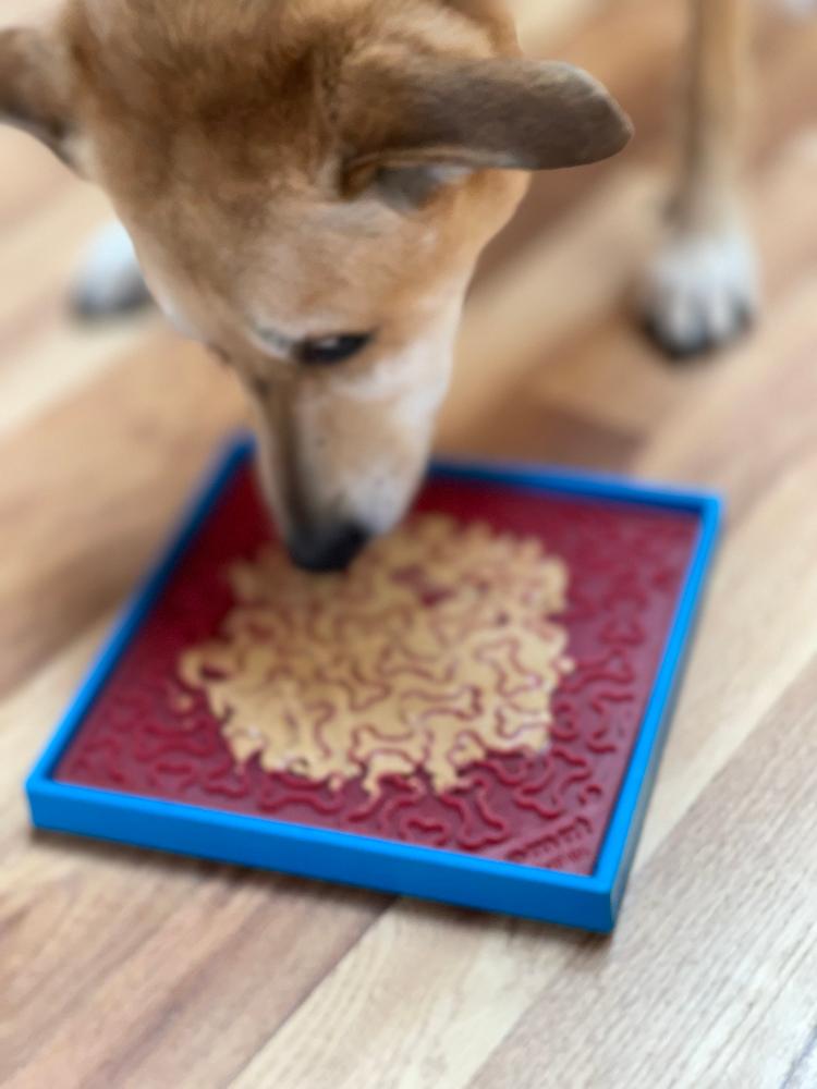SodaPup Hold 'em Suction Cup Holder Dog Bowls & Lick Mats | USA Made