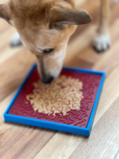 SodaPup Hold 'em Suction Cup Holder Dog Bowls & Lick Mats | USA Made