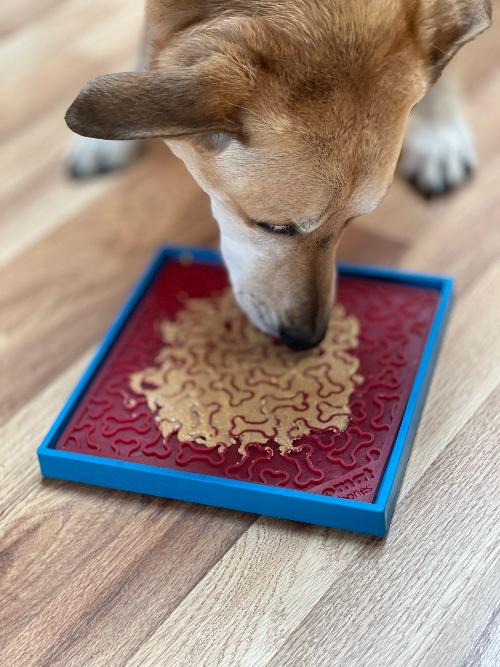 SodaPup Hold 'em Suction Cup Holder Dog Bowls & Lick Mats | USA Made