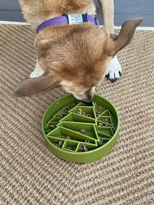 SodaPup Pine Tree Christmas eBowl Deep Slow Feeder Dog Bowl Enrichment | USA Made