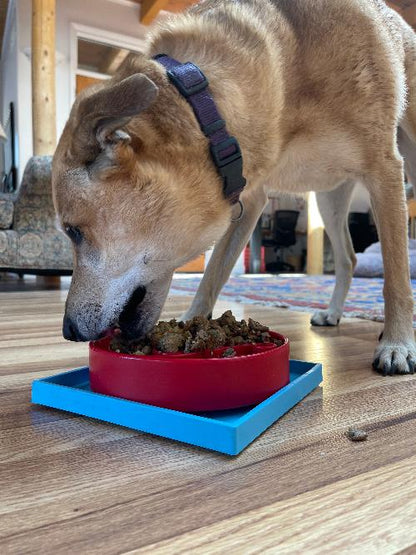 SodaPup Hold 'em Suction Cup Holder Dog Bowls & Lick Mats | USA Made