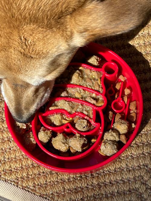 Santa Christmas eBowl Deep Slow Feeder Dog Bowl for Enrichment