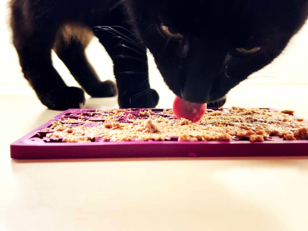 Fishy emat - Small Enrichment Lick Mat for Dogs and Cats | SodaPup