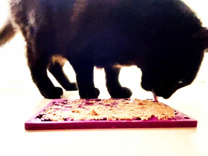 SodaPup Fishy emat Small Enrichment Lick Mat Dogs Cats |