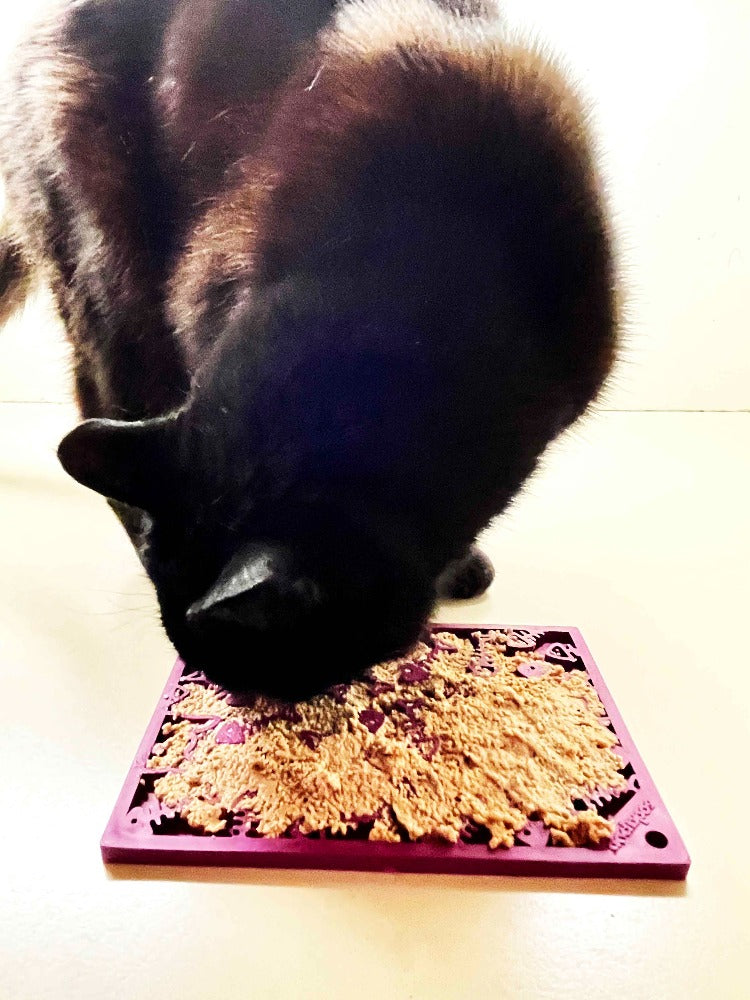 Fishy emat - Small Enrichment Lick Mat for Dogs and Cats | SodaPup