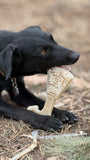 Black dog chewing on a bone-shaped chew toy outdoors.
