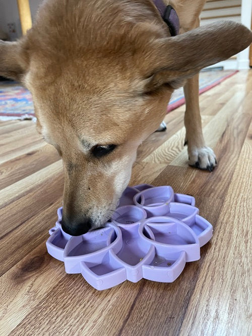 SodaPup Mandala Softie eTray Shallow Slow Feeder Dog Bowl Suction Cups | USA Made