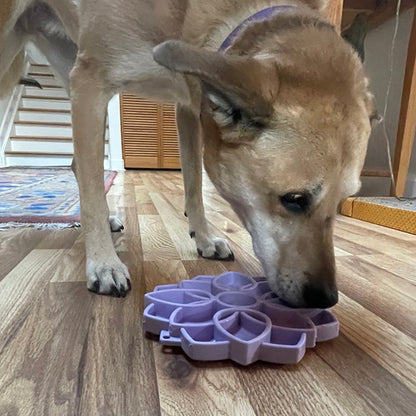 SodaPup Mandala Softie eTray Shallow Slow Feeder Dog Bowl Suction Cups | USA Made