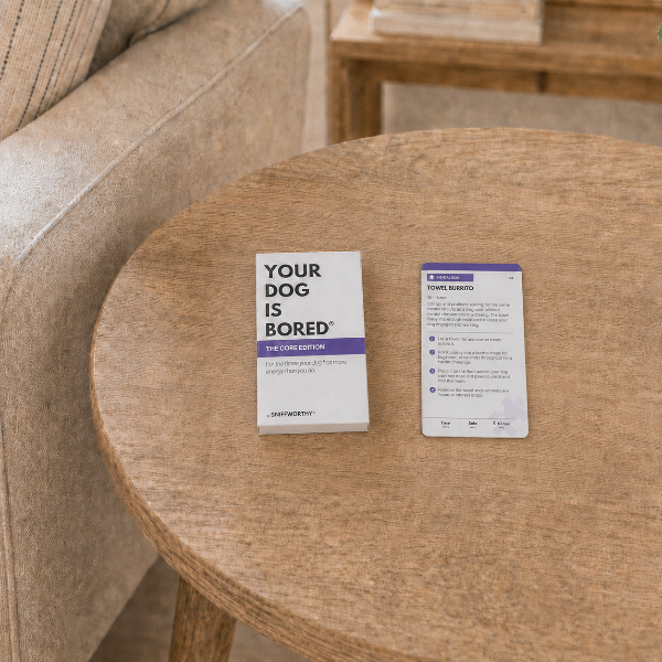 A small printed card set titled "YOUR DOG IS BORED" sits on a round wooden table in a living room setting next to a beige upholstered chair. One card is upright and reads "YOUR DOG IS BORED" with a purple band, and the other lies flat showing travel advice text.