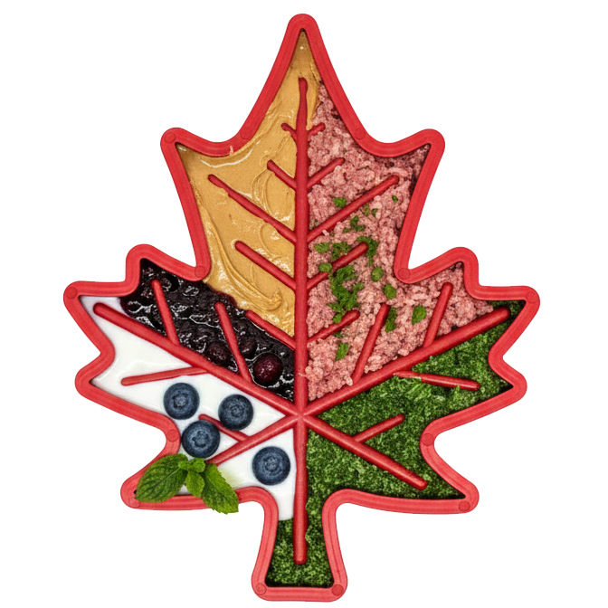 SodaPup Canadian Maple Leaf Nylon Dog Chew Toy Indestructible & USA Made