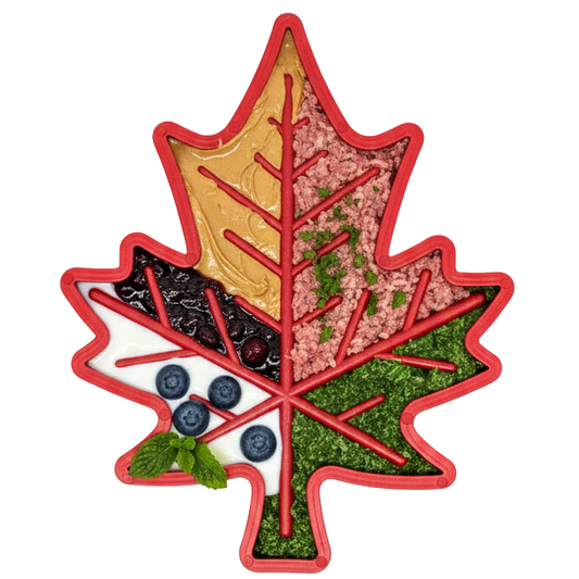 SodaPup Canadian Maple Leaf Nylon Dog Chew Toy Indestructible & USA Made