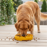 Sunflower Softie eTray Slow Feeder Dog Bowl | Soft Shallow Lick Mat | Yellow & Purple | USA Made - SodaPup/True Dogs, LLC