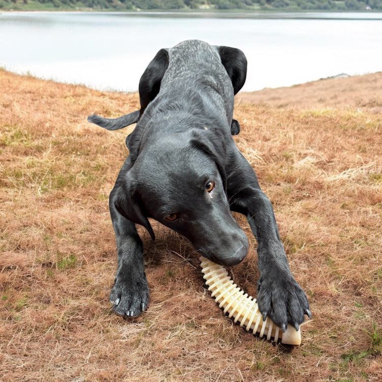 SodaPup Flufflehorn Dental Antler Indestructible Nylon Dog Chew Toy XL | USA Made