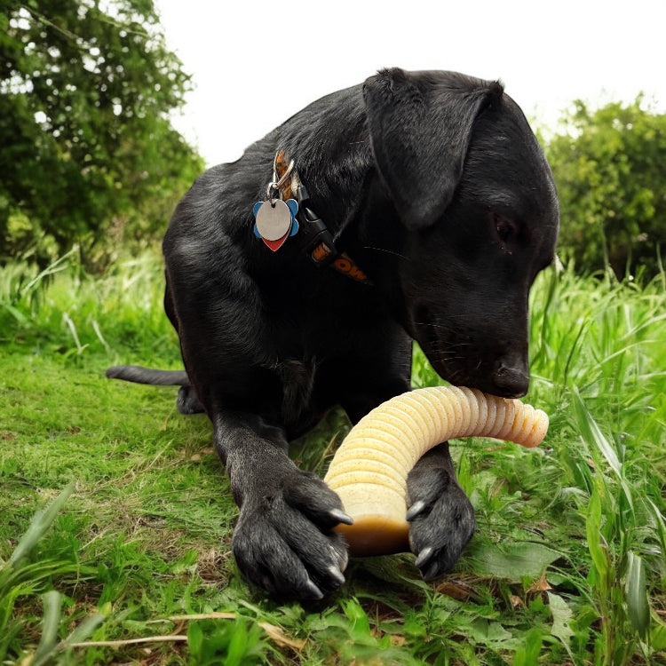 Flufflehorn Dental Antler - Indestructible Nylon Dog Chew Toy XL