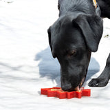 Canadian Maple Leaf eChew Durable Nylon Dog Chew Toy