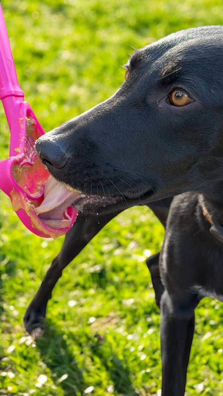 SodaPup eStick Hand-Held Dog Enrichment Toy Interactive Lick Stick | USA Made