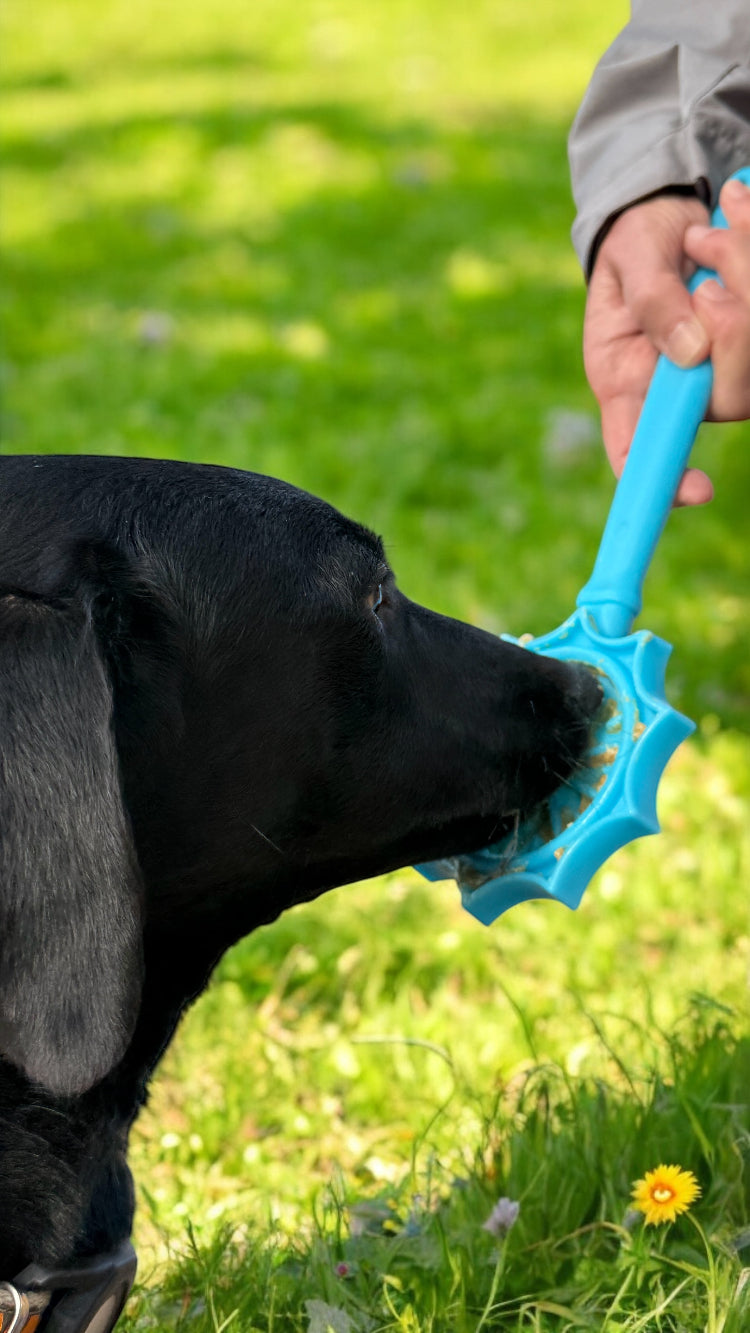SodaPup eStick Hand-Held Dog Enrichment Toy Interactive Lick Stick | USA Made