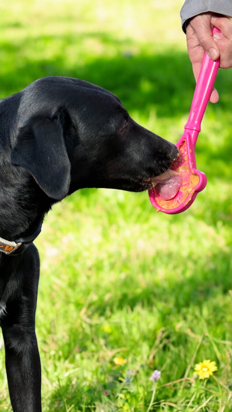 SodaPup eStick Hand-Held Dog Enrichment Toy Interactive Lick Stick | USA Made