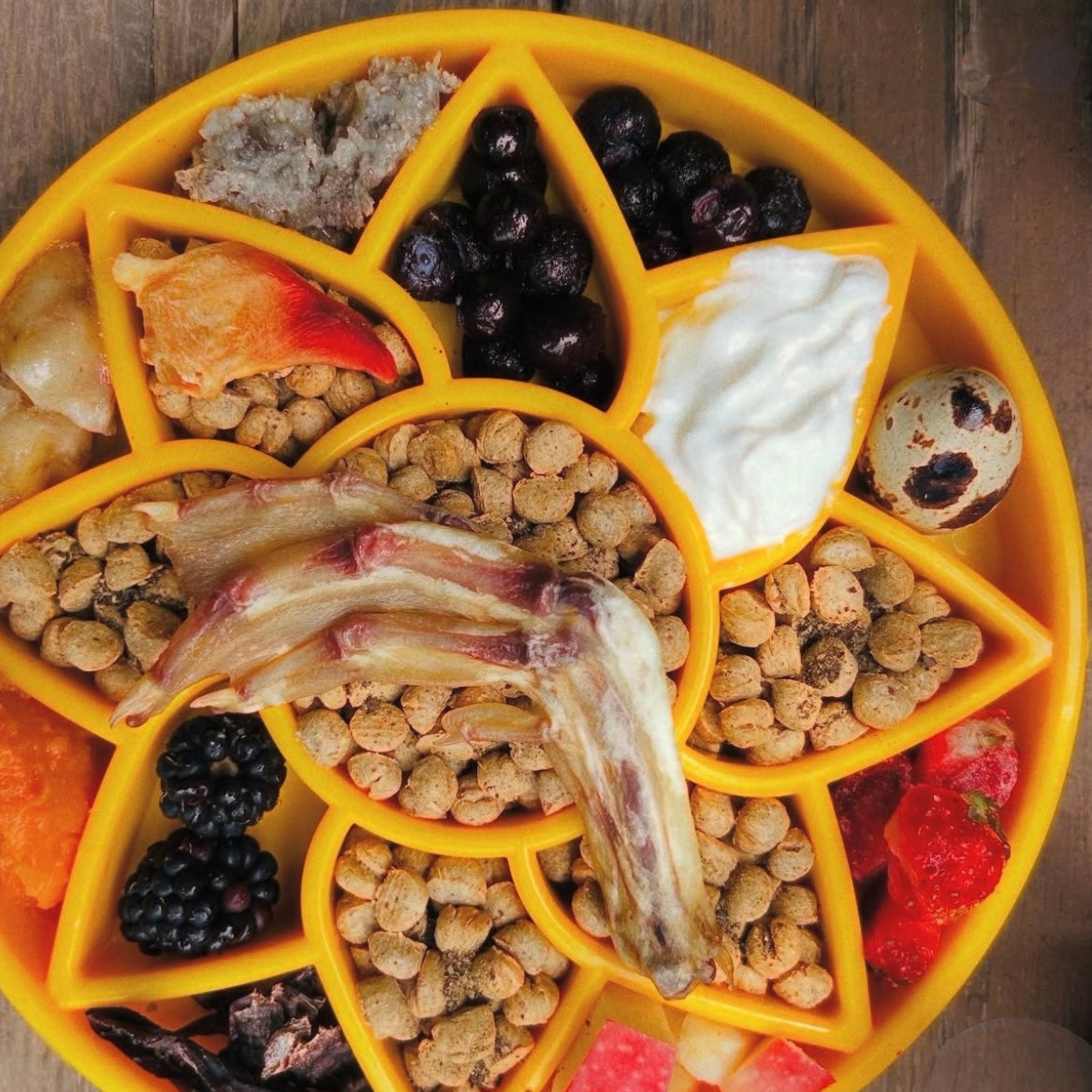 Sunflower eTray Shallow Slow Feeder Dog Bowl for Enrichment | USA Made - SodaPup/True Dogs, LLC
