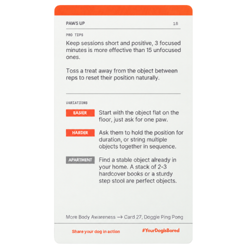 Paws Up card back with pro tips and easier, harder, and apartment variations