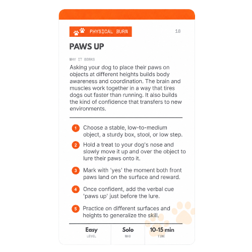 Paws Up activity card front, a physical burn game with 5 steps to teach a dog to place its front paws on an object