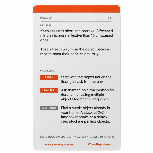 YOUR DOG IS BORED - 32 ENRICHMENT ACTIVITY CARD DECK - SodaPup/True Dogs, LLC