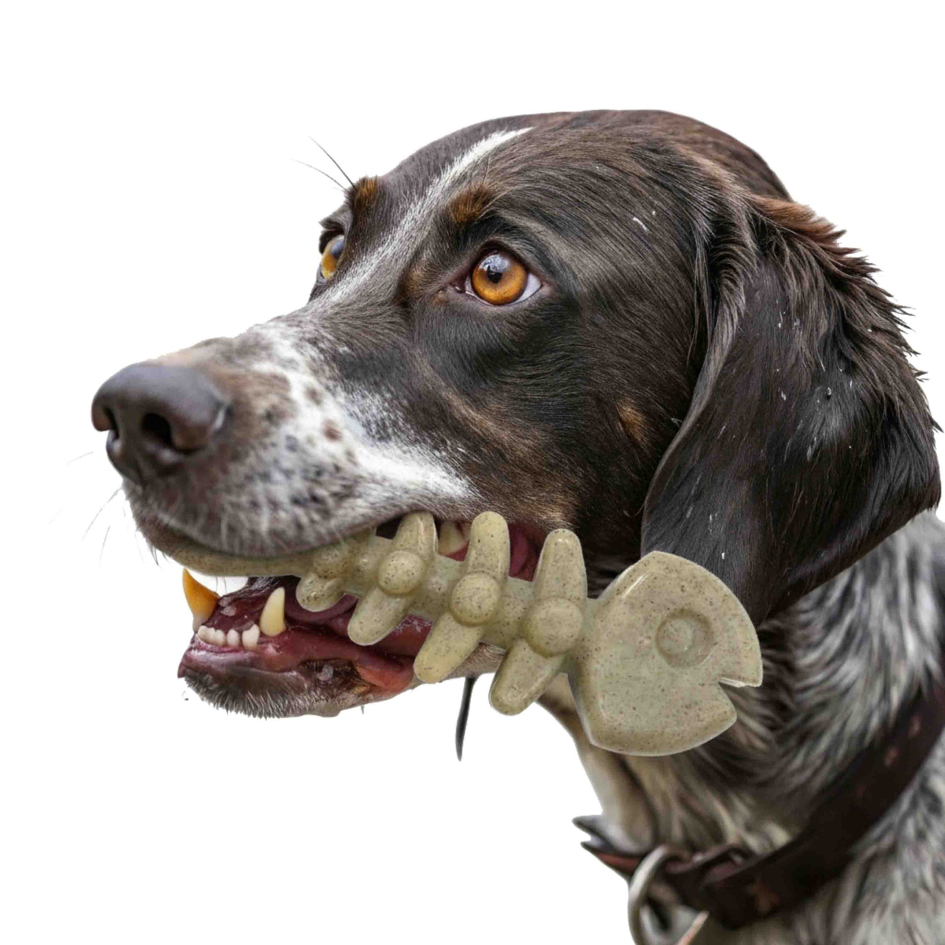 Fish Bone Nylon Dog Toy for Aggressive Chewers | USA Made | SodaPup - SodaPup/True Dogs, LLC