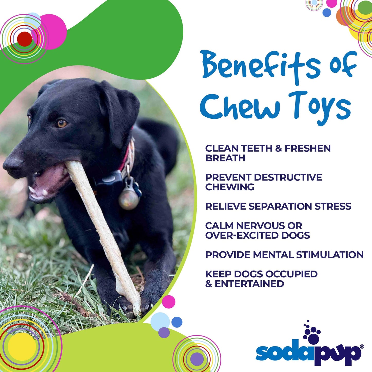 Durable Nylon Glow in the Dark Chew Stick for Power Chewers | Indestructible Dog Toy USA