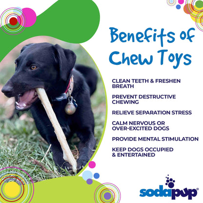 Durable Nylon Glow in the Dark Chew Stick for Power Chewers | Indestructible Dog Toy USA