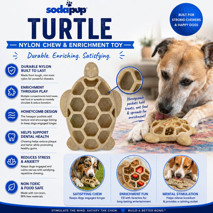 SodaPup Turtle Nylon Chew Toy Ultra-Durable Enrichment Power Chewers USA