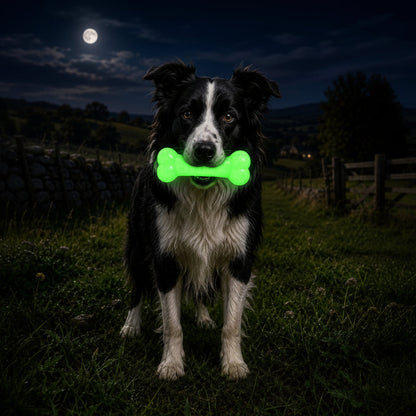 PUP-X Rubber Glow in the Dark Chew Bone Dog Toy - Durable, Floats, Chew Toy for Large Dogs | USA