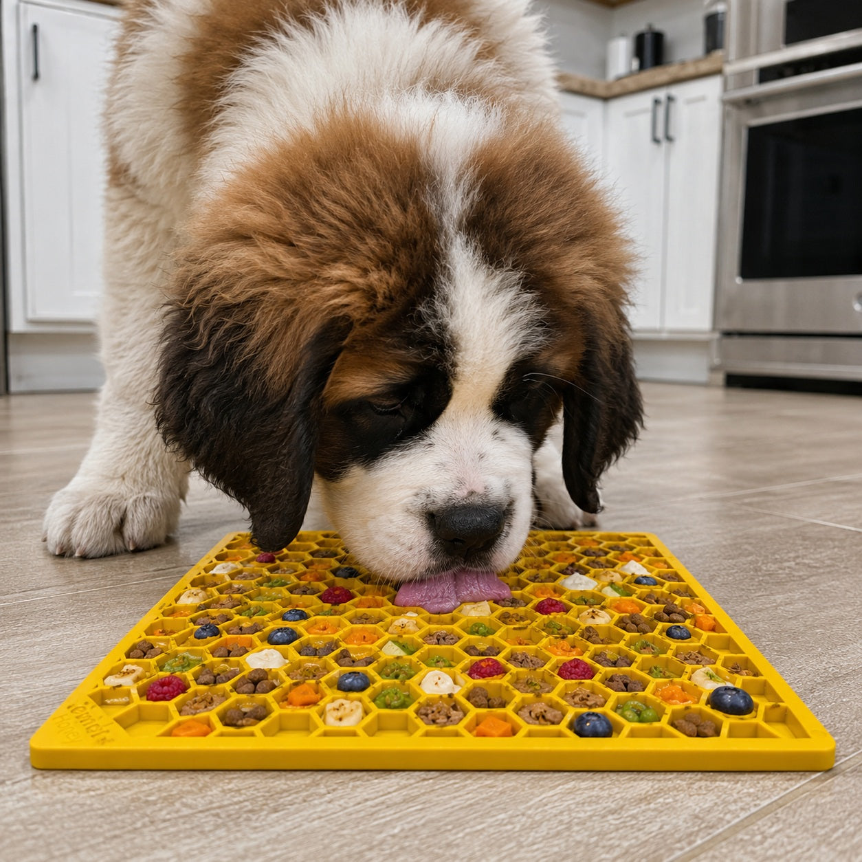 Honeycomb eMat - Enrichment Lick Mat for Dogs and Cats | eMat