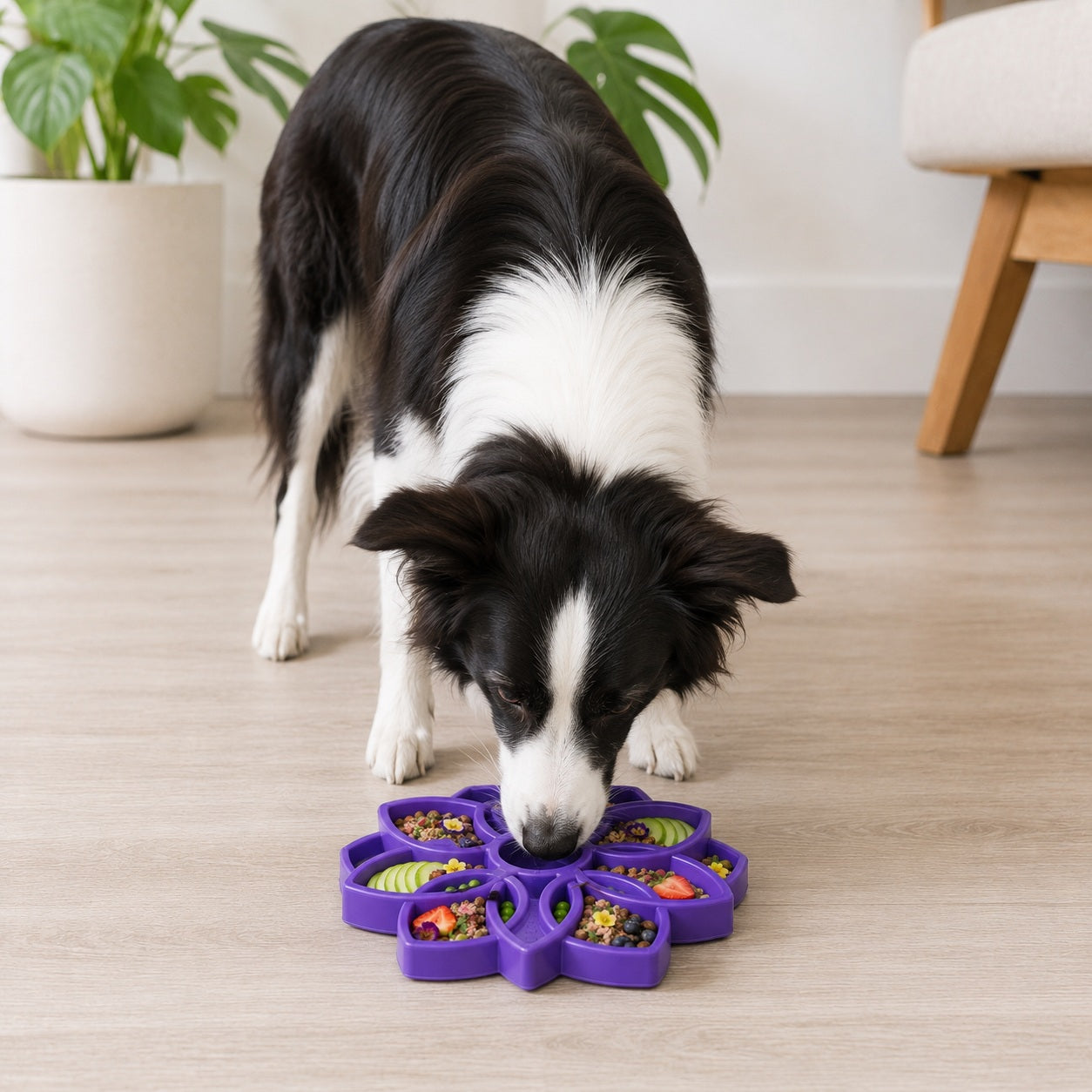 Mandala Slow Feeder Dog Bowl | eTray Enrichment Tray | SodaPup