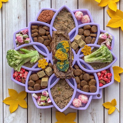 Mandala Softie eTray Shallow Slow Feeder Dog Bowl with Suction Cups |  USA Made - SodaPup/True Dogs, LLC