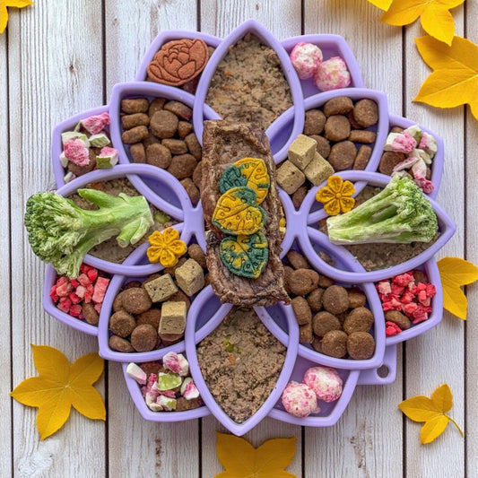 Mandala Softie eTray Shallow Slow Feeder Dog Bowl with Suction Cups |  USA Made