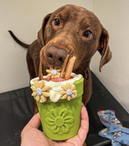 In the Garden Bundle - Ultimate Enrichment Bundle: Flower Pot eCup + Honey Bear eDispenser + Water Frog eTray = unpackaged, not for resale