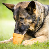 Flower Pot 3-Pack Bundle Unpackaged Not For Resale - SodaPup/True Dogs, LLC