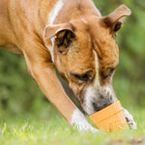 Flower Pot 3-Pack Bundle Unpackaged Not For Resale - SodaPup/True Dogs, LLC