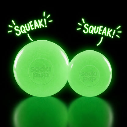 Squeak Ball - Glow in the Dark - Durable Squeaky Dog Toy, Floats, Chew Toy | USA Made