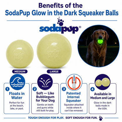 Squeak Ball - Glow in the Dark - Durable Squeaky Dog Toy, Floats, Chew Toy | USA Made