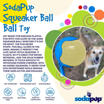 Squeak Ball - Glow in the Dark - Durable Squeaky Dog Toy, Floats, Chew Toy | USA Made