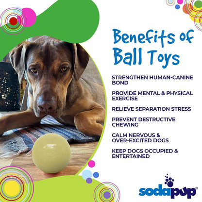 Squeak Ball - Glow in the Dark - Durable Squeaky Dog Toy, Floats, Chew Toy | USA Made