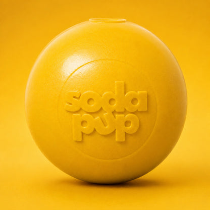 Squeak Ball - Durable Squeaky Dog Toy, Floats, Chew Toy | USA Made